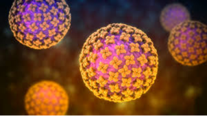 Hantavirus